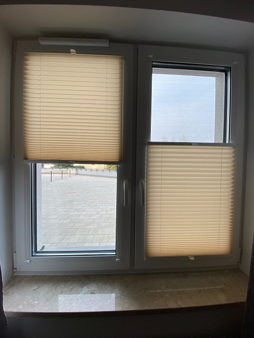 samba pearl 1-7704 (3)_dcb5f384_1208_100956-resized.jpg