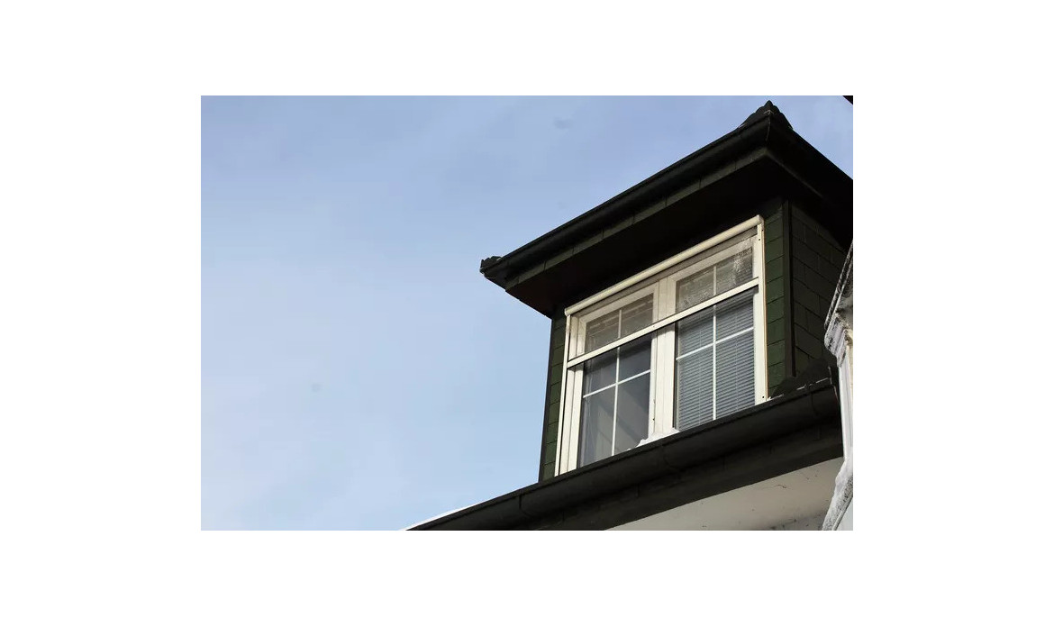 6 kluczowych różnic między moskitierami ramkowymi a rolowanymi